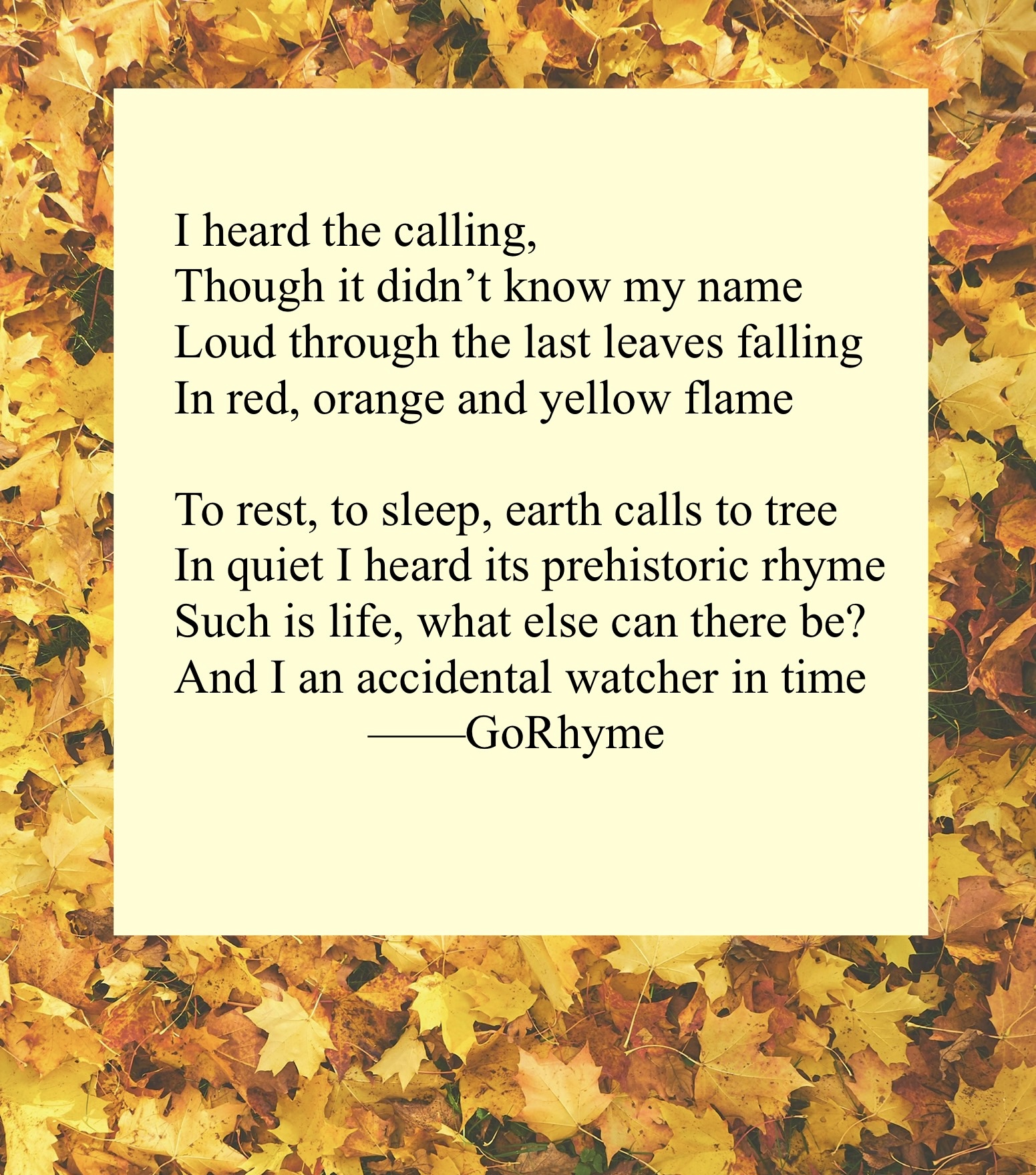 Poetry by Kelly Gray
